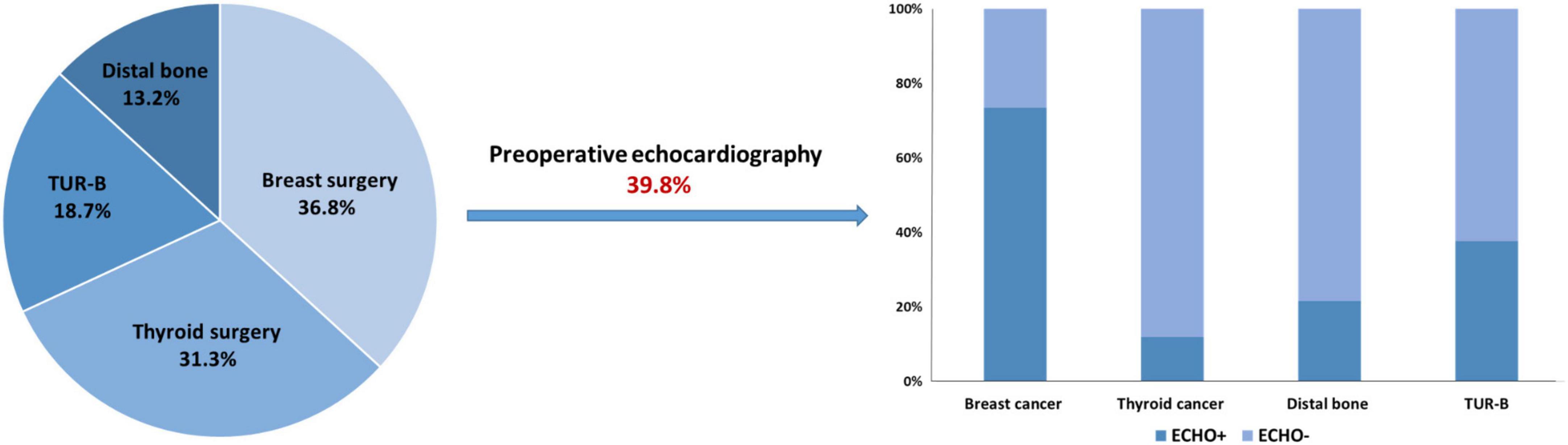 Practical role of preoperative echocardiography in low-risk non-cardiac surgery